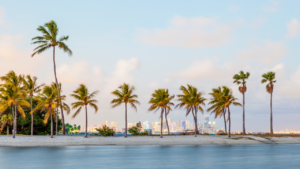 Real Estate Flórida 2025